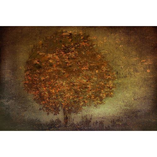 Talen, Nel 아티스트의 Autumn Tree작품입니다.