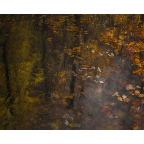 Talen, Nel 아티스트의 Autumn Impression작품입니다.