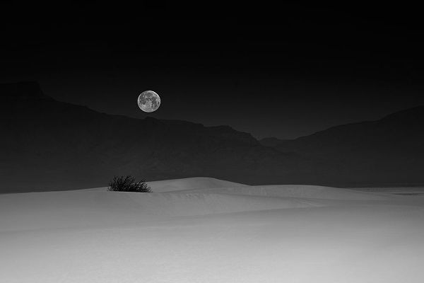 Jacobs, Lydia 작가의 Full Moon Over White Sands 작품