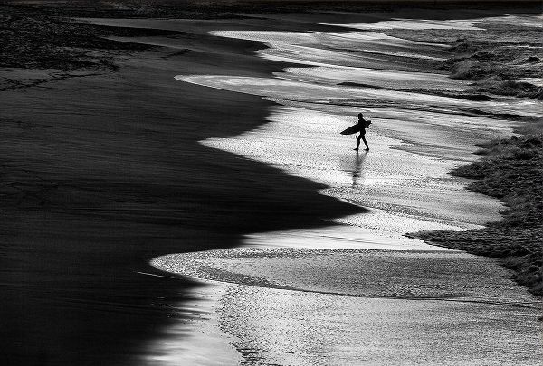 Domont, Jois 아티스트의 Lonely Surfer 2작품입니다.