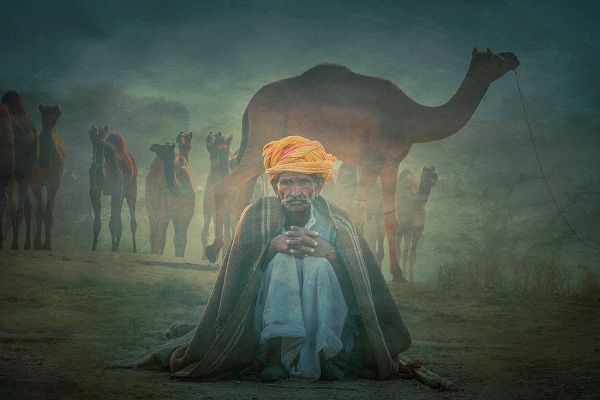 Yosifov, Svetlin 아티스트의 Old Rajasthani Man Iaap작품입니다.