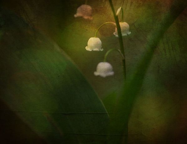 Eisenmann, Ulrike 아티스트의 Dreaming Of Spring - Lily Of The Valley작품입니다.