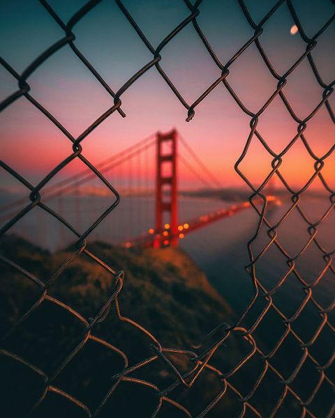 George, David 아티스트의 Golden Gate Caged작품입니다.