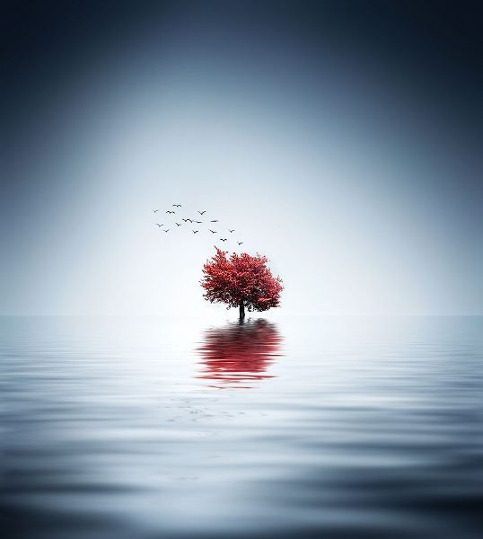 Hamiti, Bess 작가의 Autumn Trees Reflected Blue Lake 작품