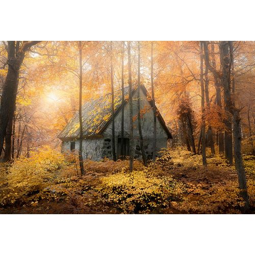 Lindsten, Christian 작가의 House In The Forest During Fallseason 작품