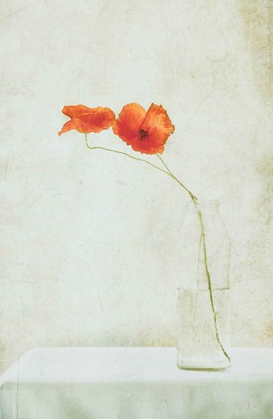 Devos, Delphine 작가의 Two Poppies In A Bottle 작품