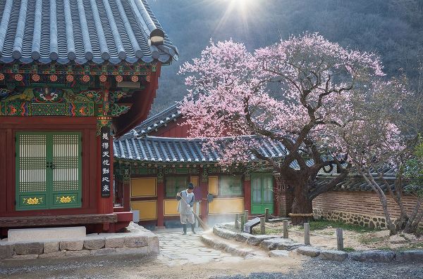 Ryu, Jaeyoun 작가의 The Scent Of Spring 작품