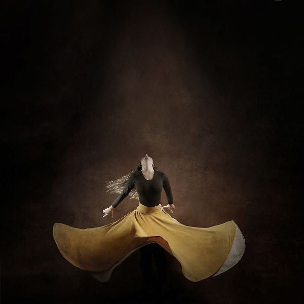 Hasheminasab, Moein 아티스트의 Iranian Dancer작품입니다.