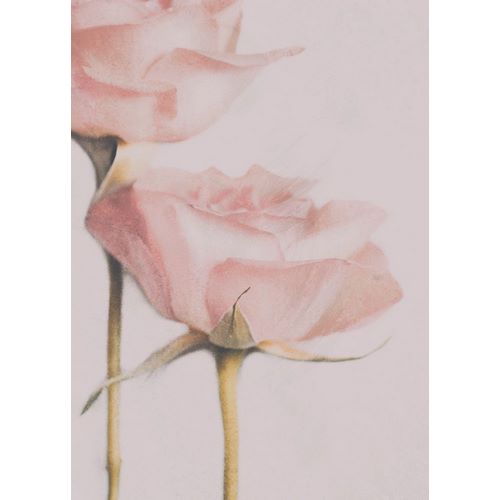 Devos, Delphine 아티스트의 Two Roses작품입니다.