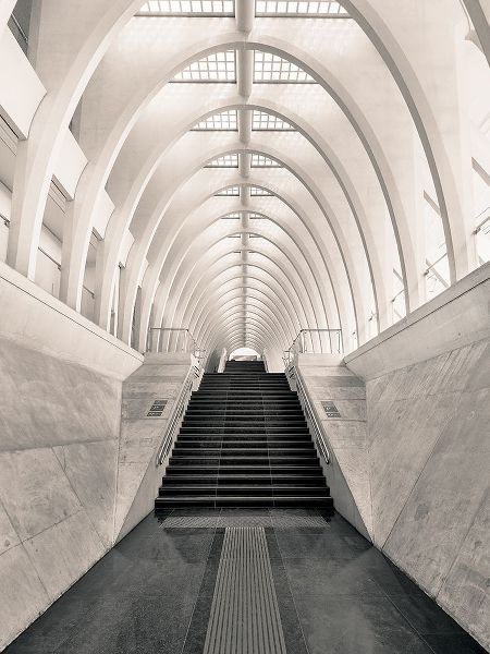 Lopez, Oscar 작가의 Inside Calatrava 작품