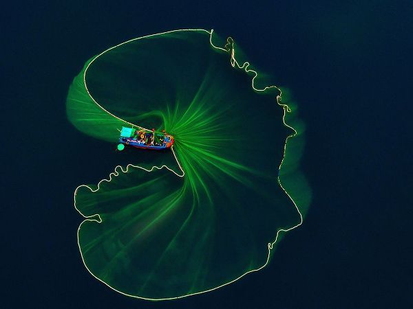 Tan Tuan, Nguyen 아티스트의 Lotus Leaf On The Sea작품입니다.