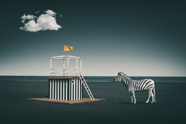 Hennen, Marcus 아티스트의 Zebra Style작품입니다.