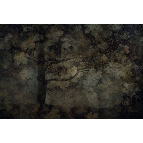Talen, Nel 아티스트의 Dark Forest작품입니다.