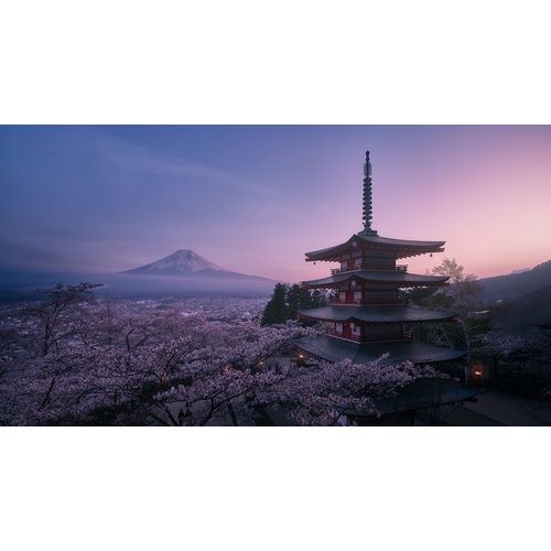De La, Javier 아티스트의 Mt Fuji Sakura작품입니다.