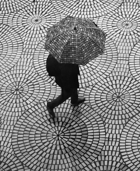 Wechsler, Robin 아티스트의 Rainy Day Patterns On The Embarcadero작품입니다.
