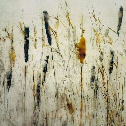 Talen, Nel 아티스트의 Cattail and reeds작품입니다.