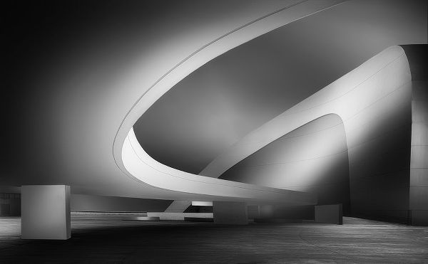 Osuna, Fran 작가의 Niemeyer Art 작품