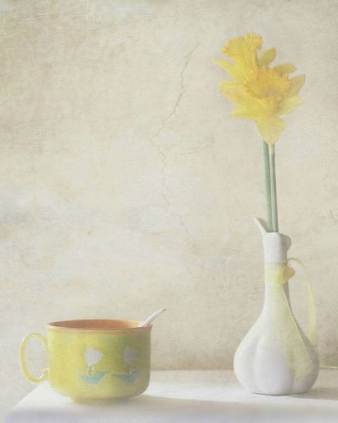 Devos, Delphine 아티스트의 Daffodils작품입니다.