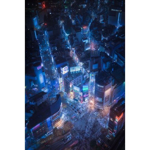 De La, Javier 아티스트의 Flying Shibuya작품입니다.