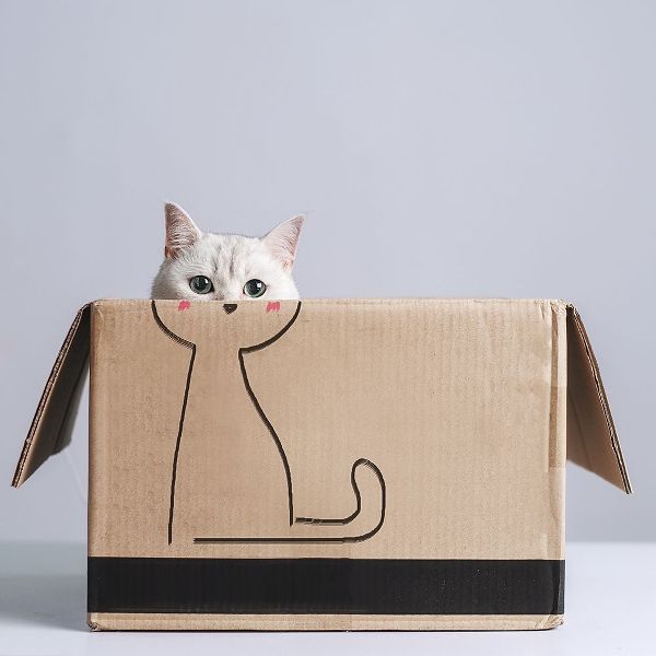 F, Terry 아티스트의 Cat In The Box작품입니다.