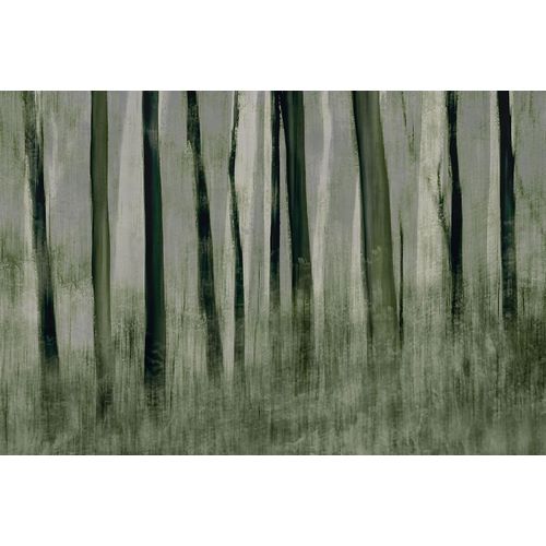 Talen, Nel 작가의 Trees In Motion 작품