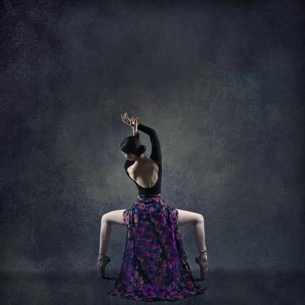 Hasheminasab, Moein 아티스트의 The Girl  A Dance작품입니다.