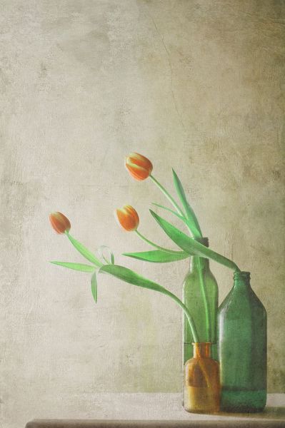 Devos, Delphine 작가의 Three Tulips 작품