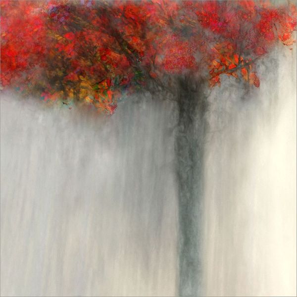 Claes, Gilbert 아티스트의 Fiery Autumn작품입니다.