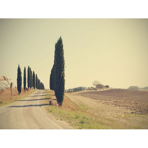 Della Latta, Massimo 아티스트의 Tuscan Countryside작품입니다.