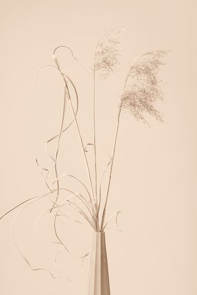 1x Studio III 아티스트의 Dried Grass Vase Beige작품입니다.