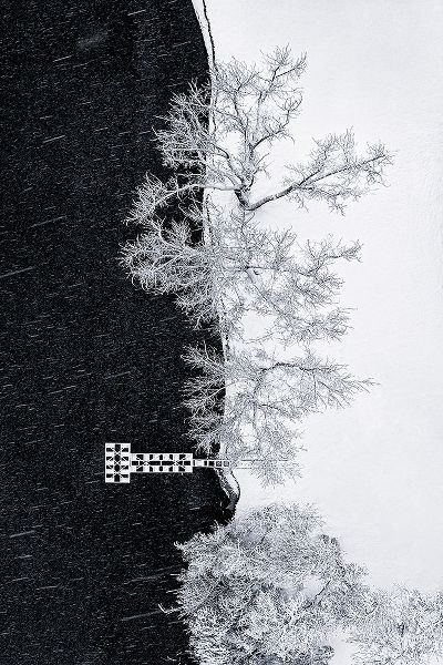 Xu, Mei 아티스트의 Lake Shore Under Snow Storm작품입니다.
