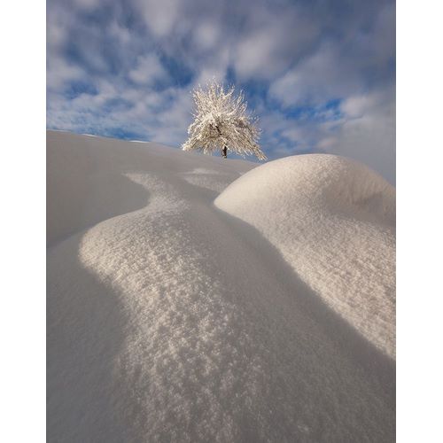 Krivec, Ales 작가의 Curves Of A Winter Landscape 작품