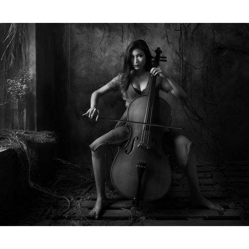 Kisworo, Sebastian 아티스트의 The Cellist작품입니다.