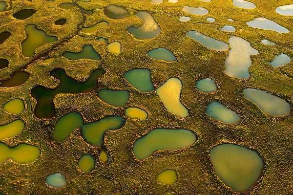 Bian, James 아티스트의 Aerial Abstract Of Small Lakes작품입니다.