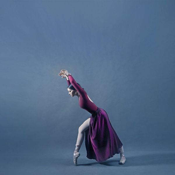 Hasheminasab, Moein 아티스트의 Persian Dancer작품입니다.