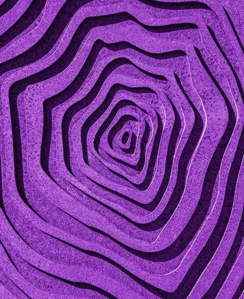Pearson, Wayne 아티스트의 Purple Maze작품입니다.