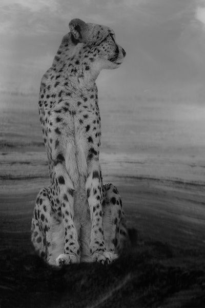 Wisniowska, Krystina 아티스트의 Cheetah on the Watch작품입니다.