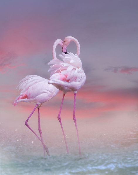 Wisniowska, Krystina 아티스트의 Flamingo Ballet작품입니다.