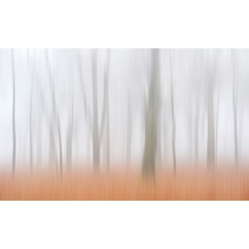 Limberg, Huib 아티스트의 Misty Autumnimpression작품입니다.