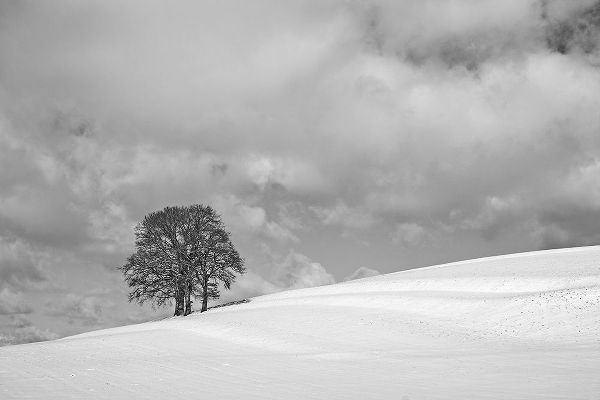 Peter Rank, Hans 아티스트의 A cloudy winter day작품입니다.
