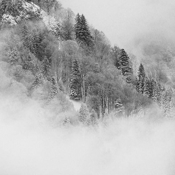 Wasinger, Renate 아티스트의 the foggy mountain작품입니다.