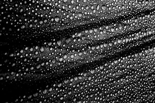 Ciappara Lrps., Simon 아티스트의 Cultured Rain Pearls작품입니다.