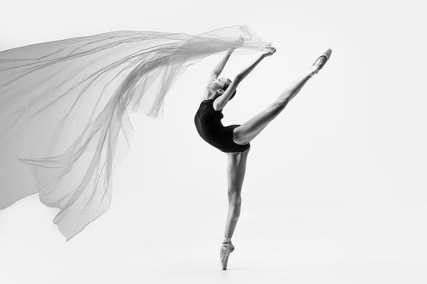 Suhardjo, Lisdiyanto 아티스트의 Flying Cloth Ballerina작품입니다.