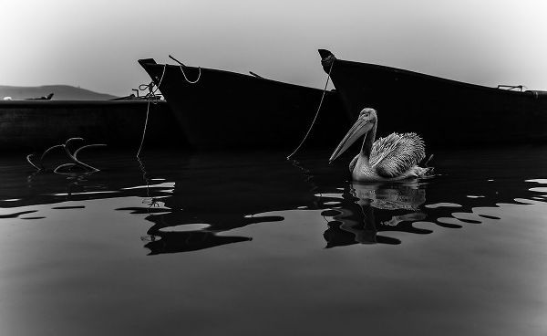 Nisan Kandilcioglu, Ummu 아티스트의 lake diary 2작품입니다.