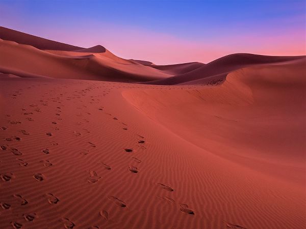 Miroslaw 아티스트의 The colors of the desert at sunset작품입니다.