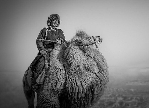 Yu Wu, Irene 아티스트의 Farmer and His Camel작품입니다.