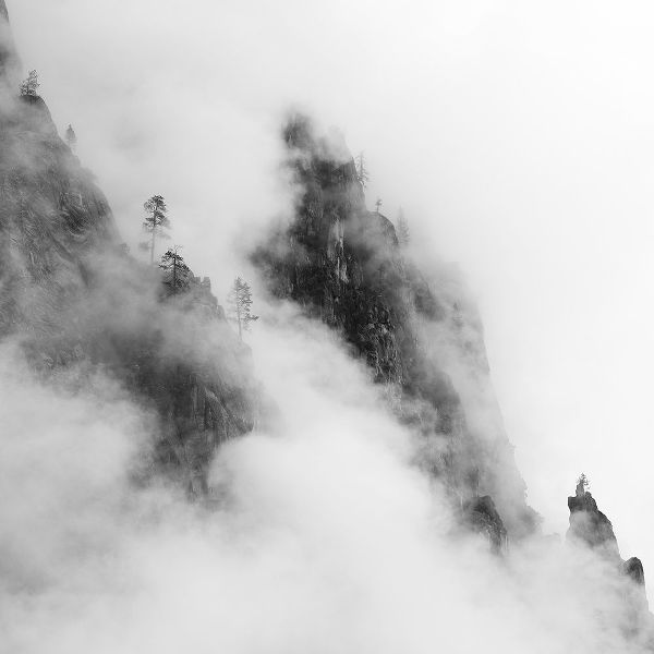 Chengming 아티스트의 Foggy Mountain작품입니다.