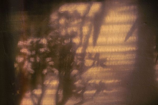 Mossholder, Tim 아티스트의 Wall with Shadows작품입니다.