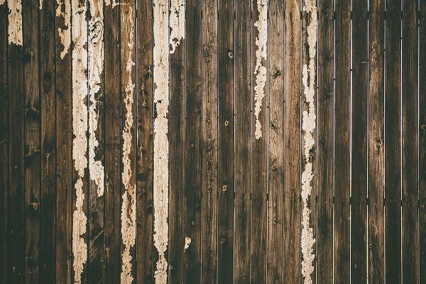 Mossholder, Tim 아티스트의 Wood Fence작품입니다.