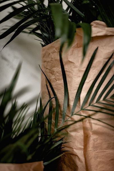 Mossholder, Tim 아티스트의 Palms a Craft Paper작품입니다.